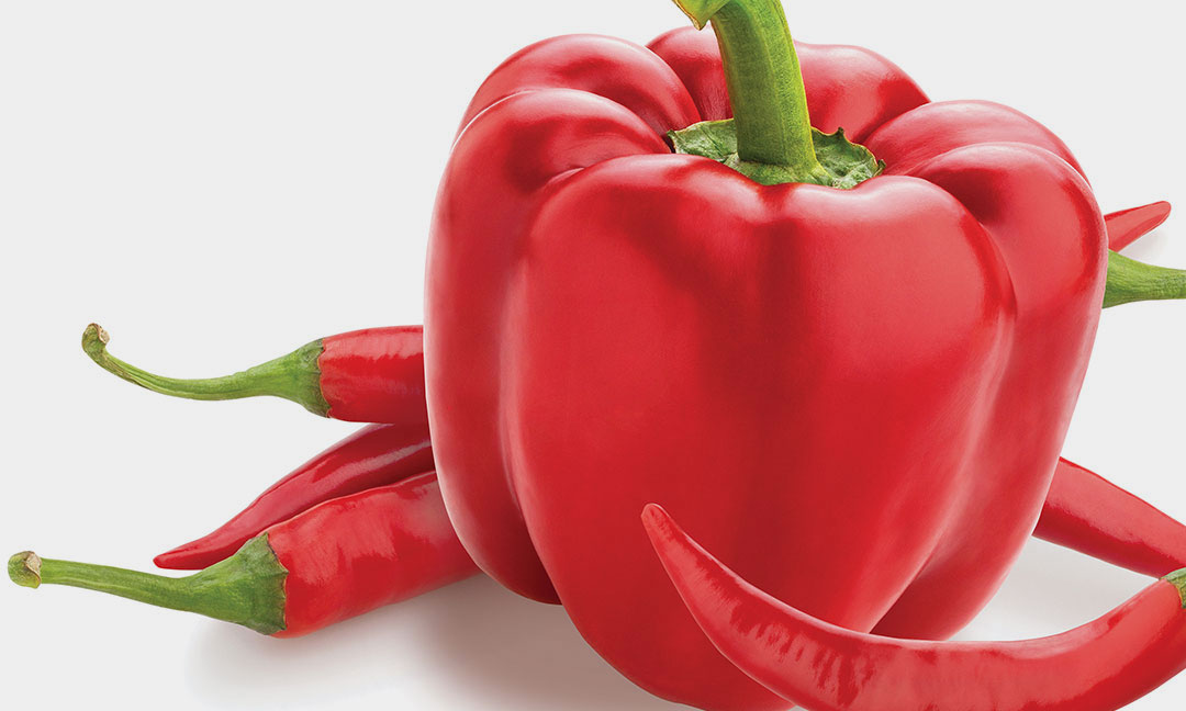 BCBD LIVWELL Foods Calabrian Chili Pepper Romesco