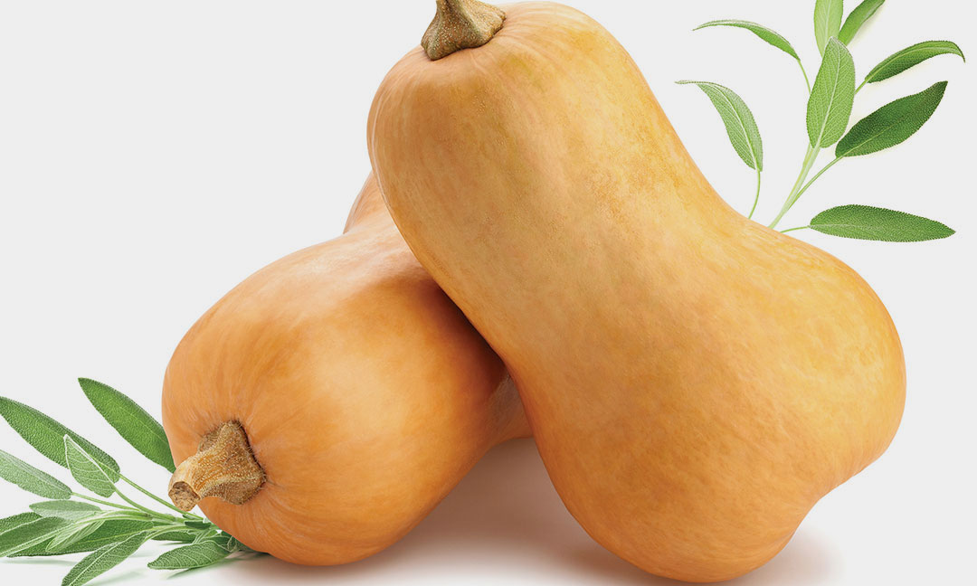 BCBD-LivWell-Foods-07 BCBD LIVWELL Foods Tuscan Butternut Squash